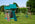 #511 Deluxe Dandy - Poly