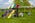 #549 Backyard Retreat - Poly